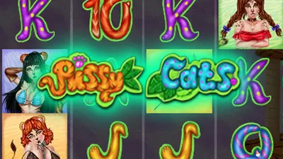 pussy cats